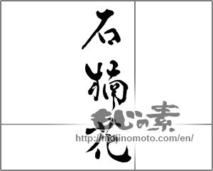 Japanese calligraphy "石楠花" [28695]