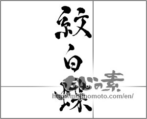 Japanese calligraphy "紋白蝶" [28702]