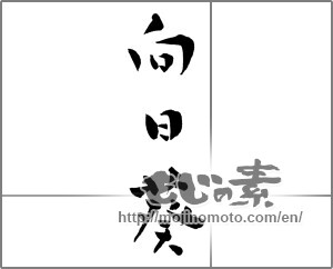 Japanese calligraphy "向日葵 (Sunflower)" [30071]