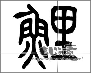 Japanese calligraphy "鯉 (carp)" [33030]