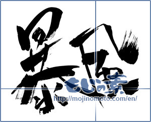 Japanese calligraphy "暴風 (Storm)" [11229]