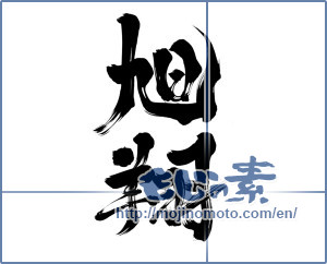 Japanese calligraphy "旭 翔" [14002]