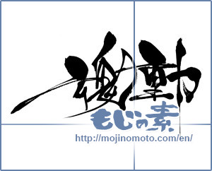 Japanese calligraphy "魂動" [6955]