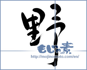 Japanese calligraphy "野 (plain)" [8682]