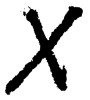 X（素材番号:1179）