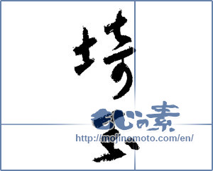 Japanese calligraphy "埼玉 (Saitama [place name])" [1525]