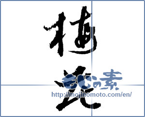 Japanese calligraphy "梅花 (ume blossoms)" [2073]