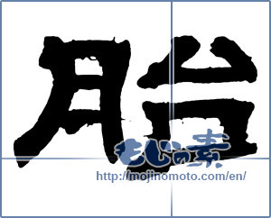 Japanese calligraphy "胎 (Fetal)" [2532]