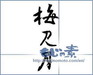 Japanese calligraphy "梅見月" [2619]