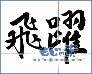 Japanese calligraphy "飛躍 (Jump)" [2805]