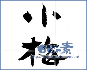 Japanese calligraphy "小梅 (Koume [person's name])" [3358]