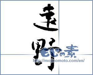 Japanese calligraphy "遠野 (Toono [place name])" [4044]