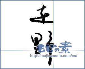 Japanese calligraphy "遠野 (Toono [place name])" [4045]