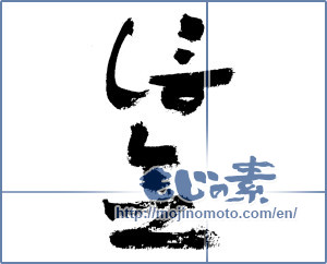 Japanese calligraphy "信念 (belief)" [7512]