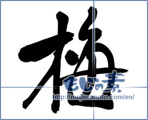 Japanese calligraphy "梅 (Japanese apricot)" [6753]