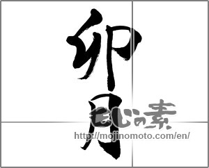 Japanese calligraphy "卯月" [32085]