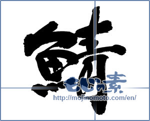 Japanese calligraphy "鯖 (mackerel)" [12813]