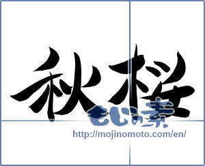 Japanese calligraphy "秋桜 (cosmos)" [12401]