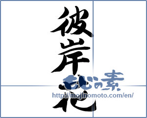 Japanese calligraphy "彼岸花 (cluster amaryllis)" [12405]
