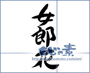 Japanese calligraphy "女郎花 (Maiden flower)" [12499]