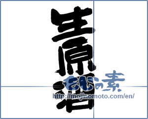 Japanese calligraphy "生原酒 (Raw sake)" [11826]