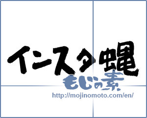 Japanese calligraphy "インスタ蝿" [12791]