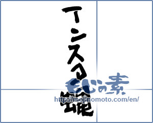 Japanese calligraphy "インスタ蝿" [12792]