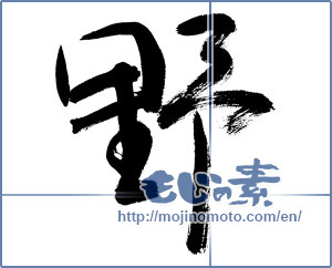 Japanese calligraphy "野 (plain)" [12859]