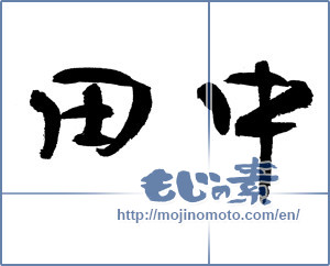 Japanese calligraphy "田中" [12926]