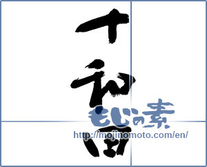 Japanese calligraphy "十和田" [13118]