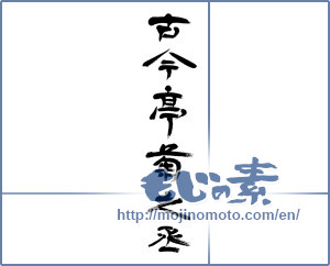 Japanese calligraphy "古今亭菊之丞 (Kokonteikikunojo [person's name])" [4761]