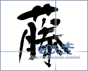 Japanese calligraphy "藤" [8836]
