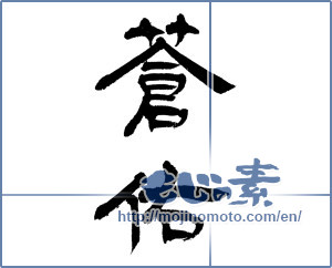 Japanese calligraphy "蒼佑" [9869]