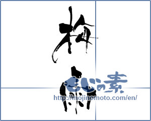 Japanese calligraphy "梅雨 (rainy season)" [8365]