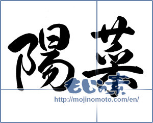 Japanese calligraphy "陽菜" [16366]