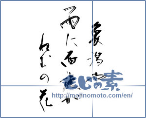 Japanese calligraphy "象潟や雨に西施がねむの花" [10164]