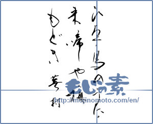 Japanese calligraphy "ひゑ鳥のうたた来啼や梅もどき　蕪村" [11554]