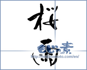 Japanese calligraphy "桜雨 (Cherry rain)" [11901]