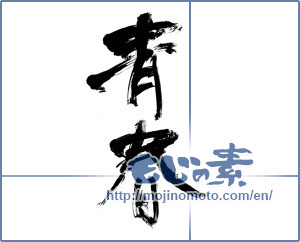 Japanese calligraphy "青春 (youth)" [12023]