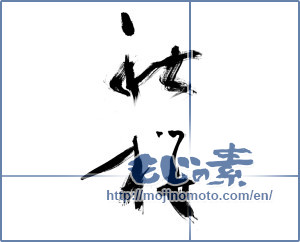 Japanese calligraphy "秋桜 (cosmos)" [12406]