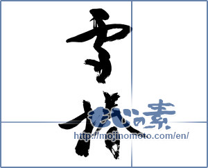 Japanese calligraphy "雪椿" [17000]