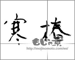 Japanese calligraphy "寒椿" [21065]