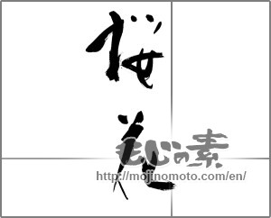 Japanese calligraphy "桜花 (cherry blossom)" [21480]