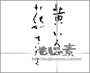 Japanese calligraphy "黄いろの花がさいたよ" [21514]