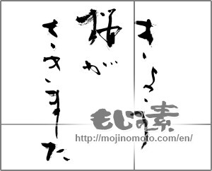 Japanese calligraphy "きょう桜がさきました" [21664]