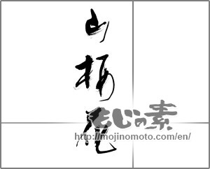 Japanese calligraphy "山桜花" [21730]