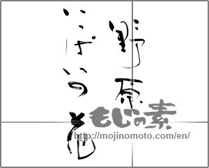 Japanese calligraphy "野原いっぱいの花" [21964]