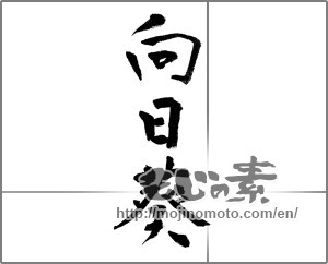 Japanese calligraphy "向日葵 (Sunflower)" [22489]