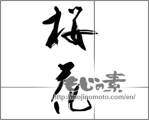 Japanese calligraphy "桜花 (cherry blossom)" [23254]