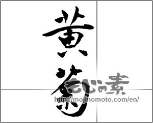 Japanese calligraphy "黄菊" [23357]